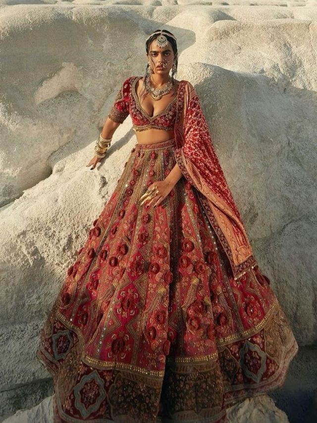 First look at Unique Designer lehenga in India